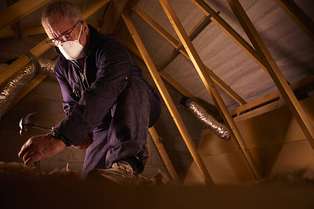 Best Insulation Installation Services in Kenwood Estates, FL